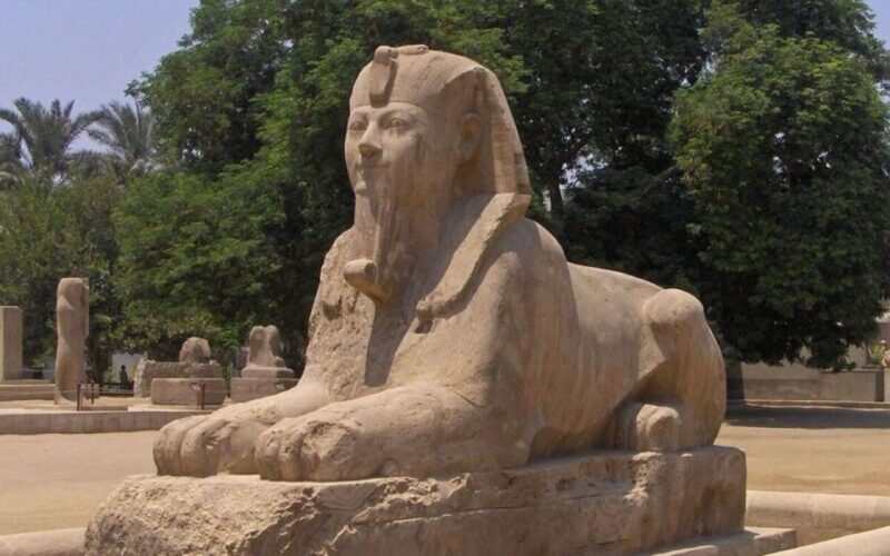 Cairo: Pyramids, Memphis, and City Highlights Private Tour - Customer Experience and Reviews