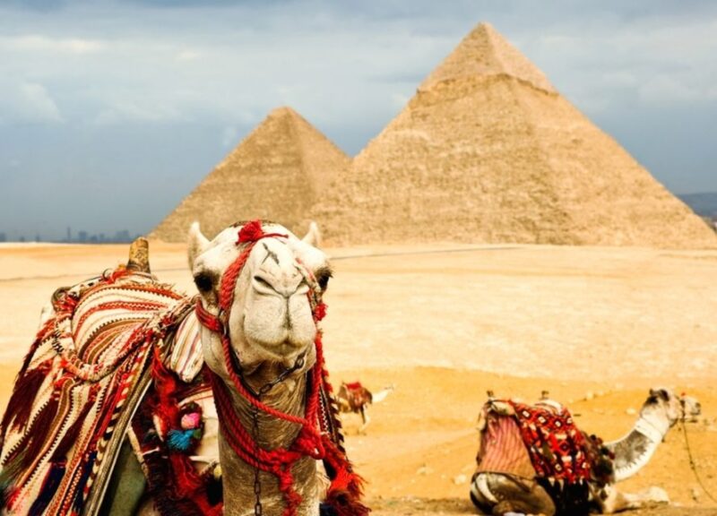 Cairo: Pyramids & Museum Layover Tour With Airport Transfer - Experience Details