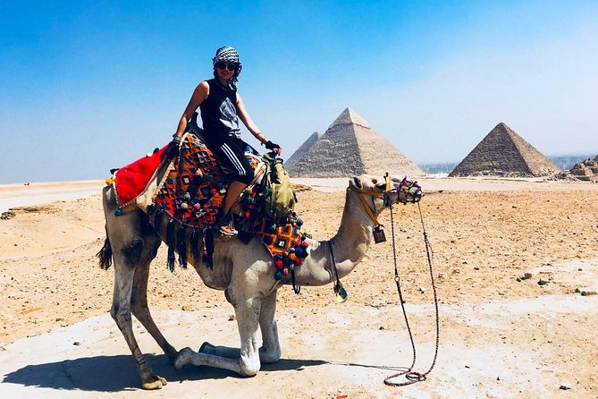 Cairo Unusual Day Tour Visit Camel Market in Birqash - Exploring the Camel Market