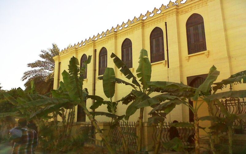 Cairo:Tour to Museum, Citadel, Coptic Cairo & Dinner Cruise - Transportation and Accessibility