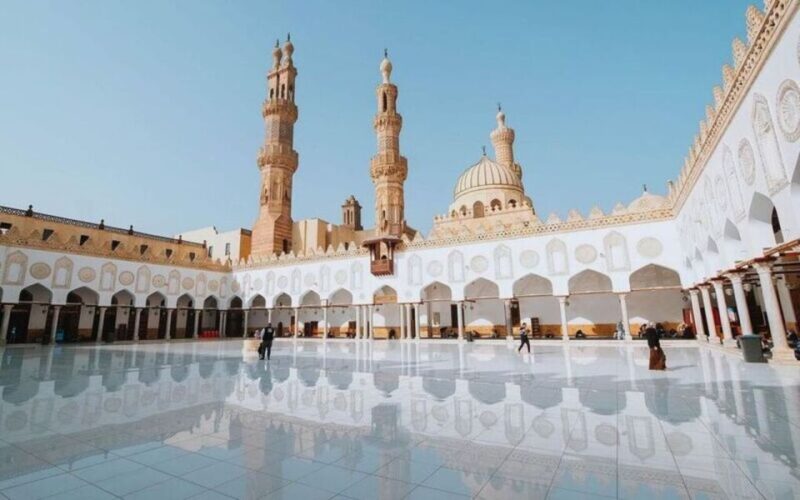 Cairo:Tour to Museum, Citadel, Coptic Cairo & Dinner Cruise - Tour Inclusions