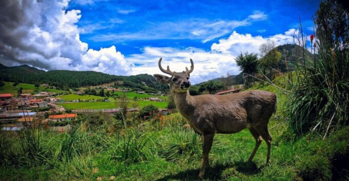 Cajamarca | Porcón Farm and Otuzco | - Local Handicraft Workshop