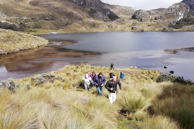 Cajas National Park Half Day Tour From Cuenca - Customer Reviews and Experiences
