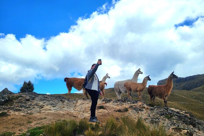 Cajas Unveiled: a Half-Day Escape From Cuenca - Pickup Information