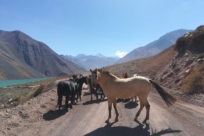 Cajon Del Maipo Including Wine With Picnic and Empanada - Included Picnic Experience