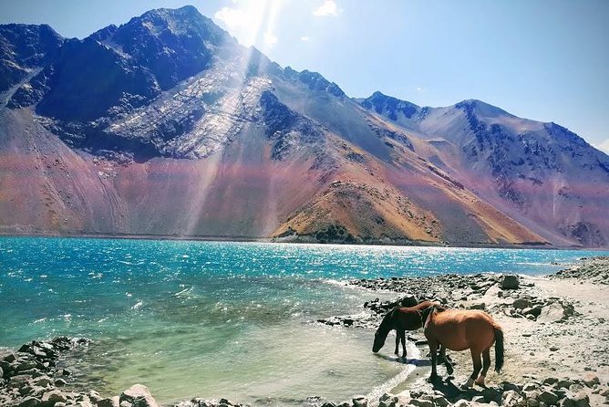 Cajon Del Maipo Including Wine With Picnic and Empanada - Customer Feedback and Ratings