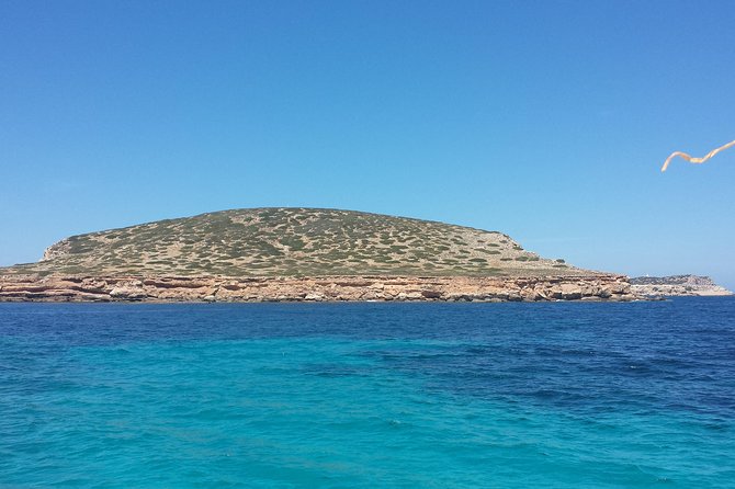 Cala Comte Private Catamaran Tour - Scenic Views and Sunset
