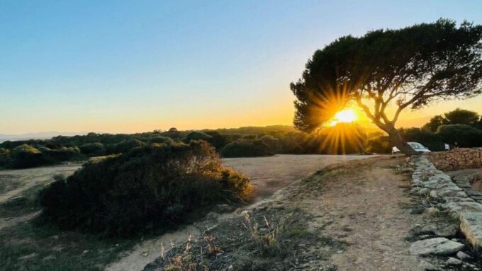 Cala Dor: Couple Adventure, Fun Game, Quiz and City Walk - Frequently Asked Questions