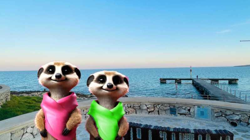 Cala Dor: the Magical Creatures of Cala Dor, Family Walk - Pricing and Inclusions