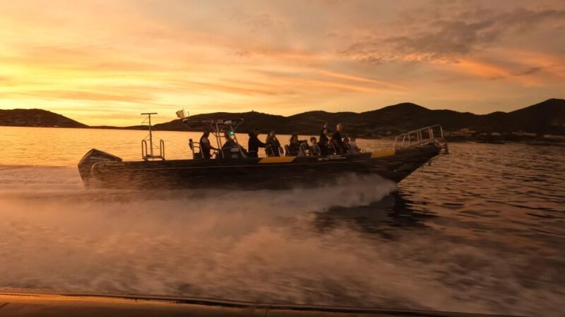 Cala D'orzu Sunset, Cocoa and Snorkeling - Language and Highlights
