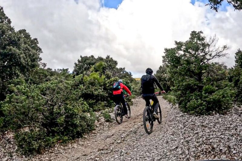 Cala Gonone and Dorgali E-Bike Tour - Key Points
