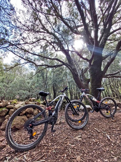 Cala Gonone and Dorgali E-Bike Tour - Booking Details