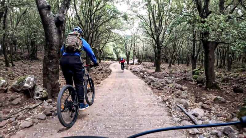 Cala Gonone and Dorgali E-Bike Tour - Experience Highlights