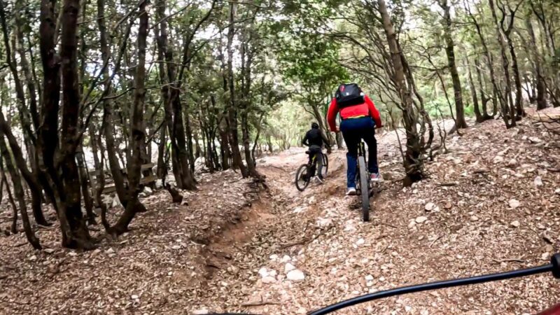 Cala Gonone and Dorgali E-Bike Tour - Inclusions