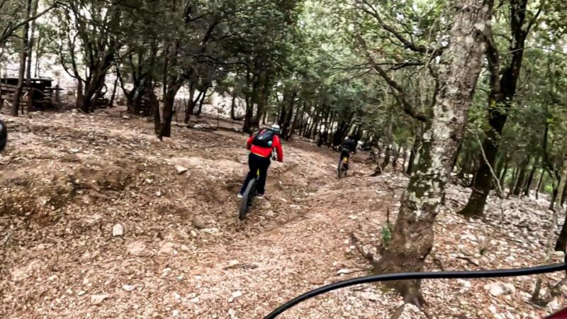 Cala Gonone and Dorgali E-Bike Tour - Participant Restrictions