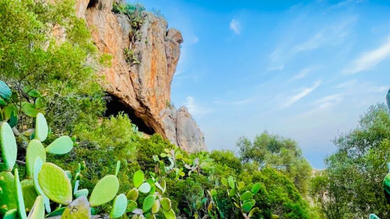 Cala Millor: Cavemen, Cave on a Mountain,Fun Game and Hike - Customer Feedback