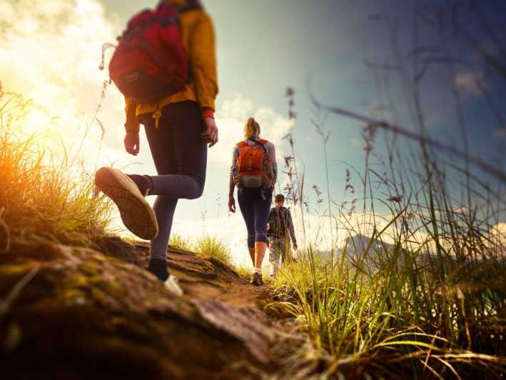 Cala Millor: Real Treasure Hunt in Natural Reserve, Fun Walk - Experience Highlights