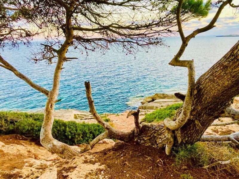 Cala Millor: Real Treasure Hunt in Natural Reserve, Fun Walk - Important Information