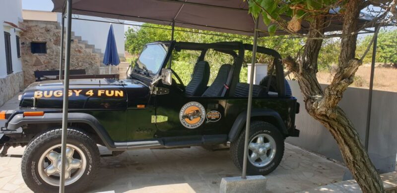 Cala Millor/Sa Coma: Guided Buggy Tour to Coasts and Castles - Important Tour Information