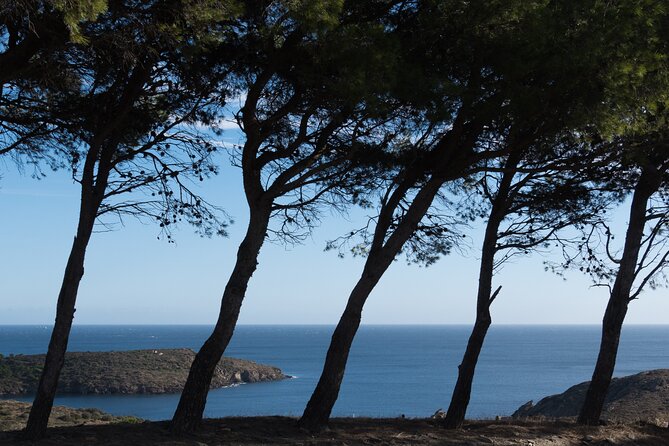 Cala Montjoi 2h 30 Experience - Highlights of the Tour