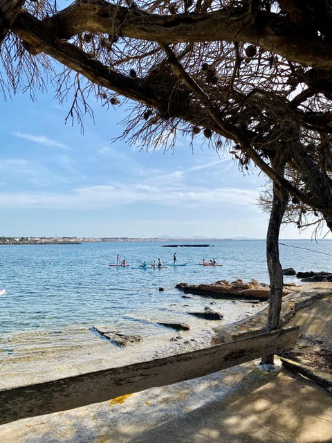 Cala Pi: Cave Excursion in Paddle Surf and Snorkel - Included in the Tour