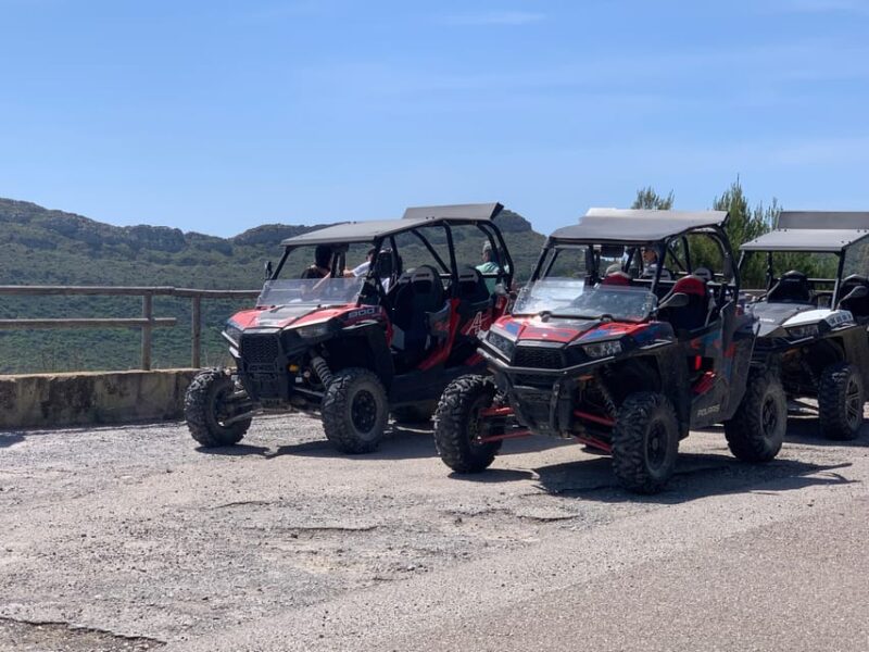 Cala Ratjada: Exclusive Buggy Tour Also for Families - Customer Reviews