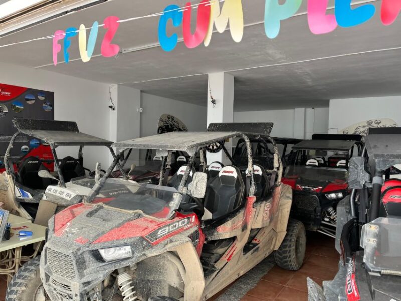 Cala Ratjada: Exclusive Buggy Tour Also for Families - Ride Through Lush Mallorca Forests