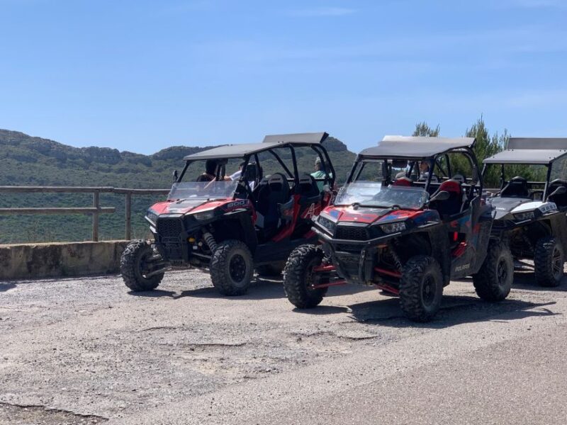 Cala Ratjada: Exclusive Buggy Tour Also for Families - Easy-to-Use Buggies for All