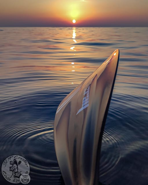 Cala Ratjada: Stand Up Paddle Sunrise Tour - Activity Details