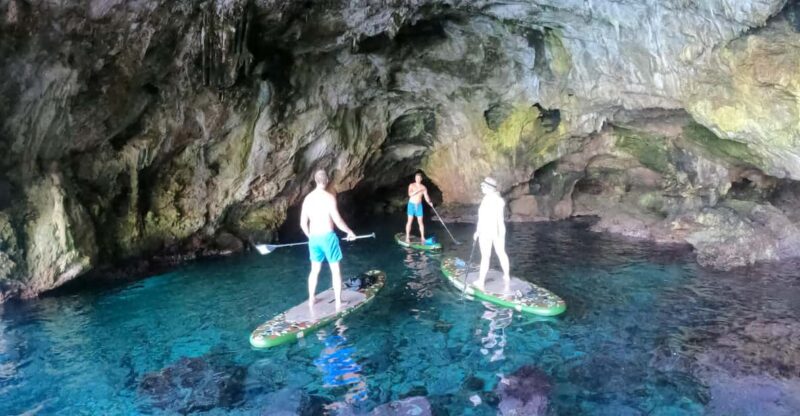 Cala Ratjada: SUP SAFARI TOUR 2H - Booking Information