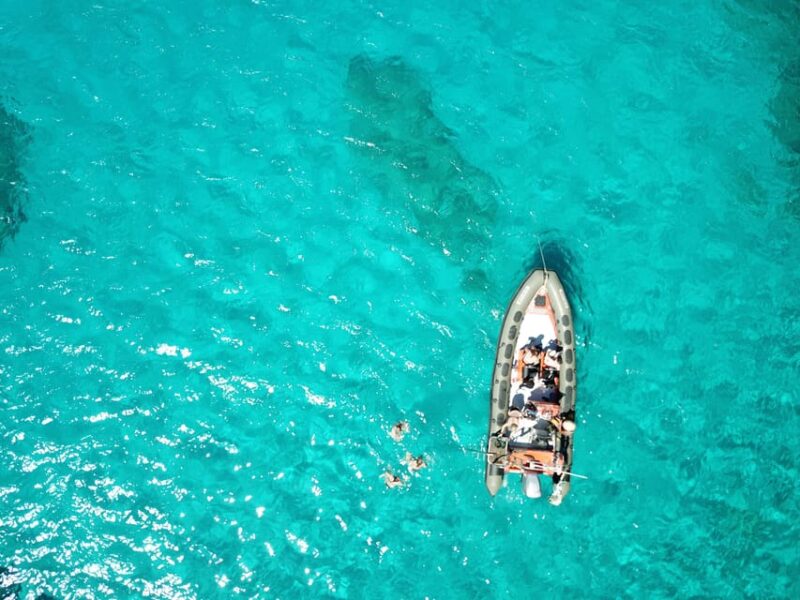 Cala Ratjada: SUP SAFARI TOUR 2H - Tour Highlights