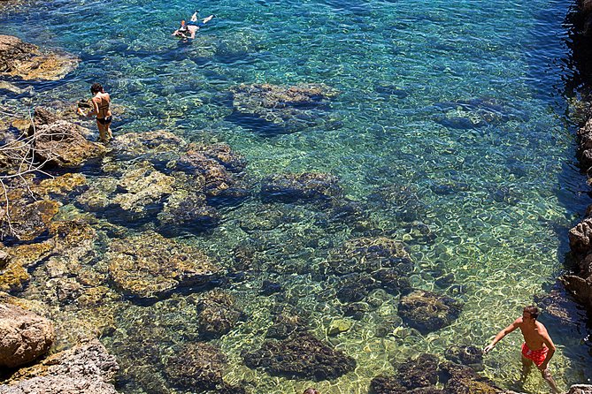 Cala Salada and Unspoiled North Beach Tour. Snorkelling and Aquarium - Booking and Cancellation Policies