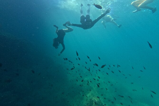 Cala Varques: Guided Kayak Sea Caves Expedition & Snorkeling - Group Size and Accessibility