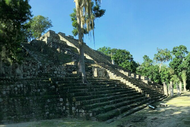 Calakmul, Ancient Maya City from Bacalar or Chetumal - The Sum Up: Is This Tour Right for You?