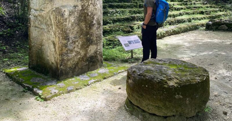 Calakmul Ruins & Stop In The Jungle - Wildlife and Nature
