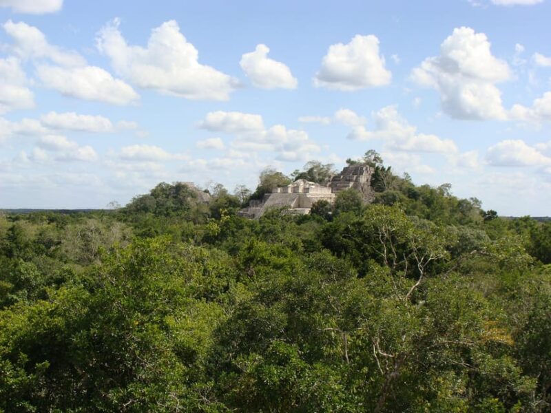 Calakmul: The Jewel in the Jungle - Inclusions