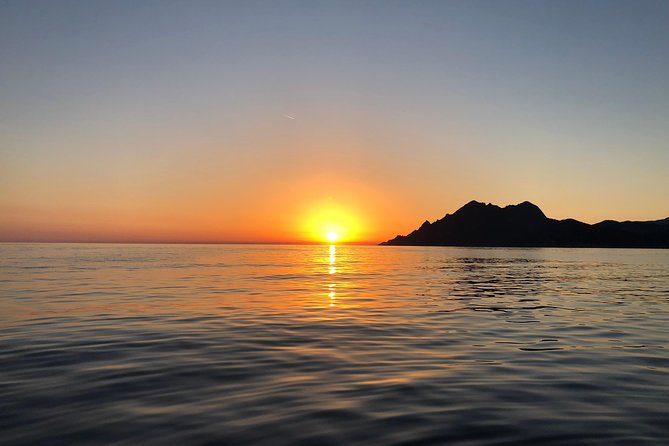 Calanches De Piana and Scandola Reserve Cruise With Swimming Stop - Restrictions and Considerations