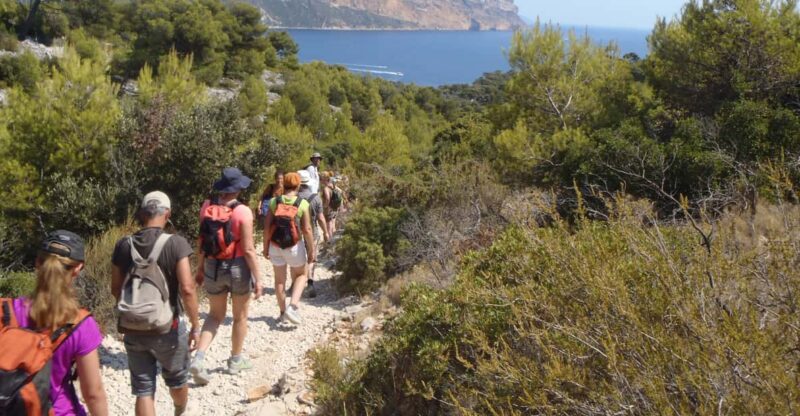 Calanques De Cassis: Hiking Day Trip - Key Points