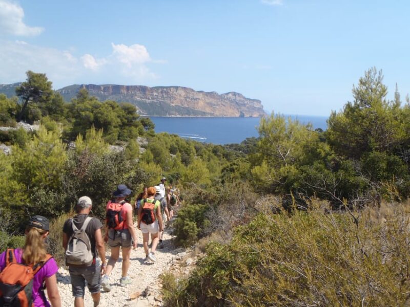 Calanques De Cassis: Hiking Day Trip - Language Options