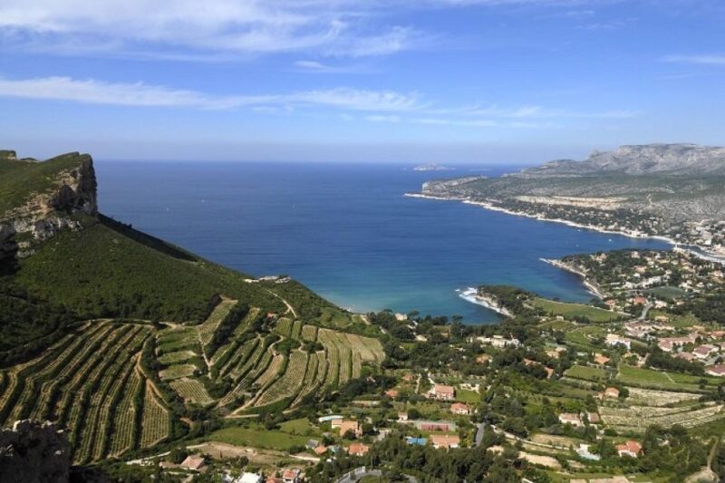 Calanques Of Cassis, the Village and Wine Tasting - Uncover the Basilicas Architectural Gems