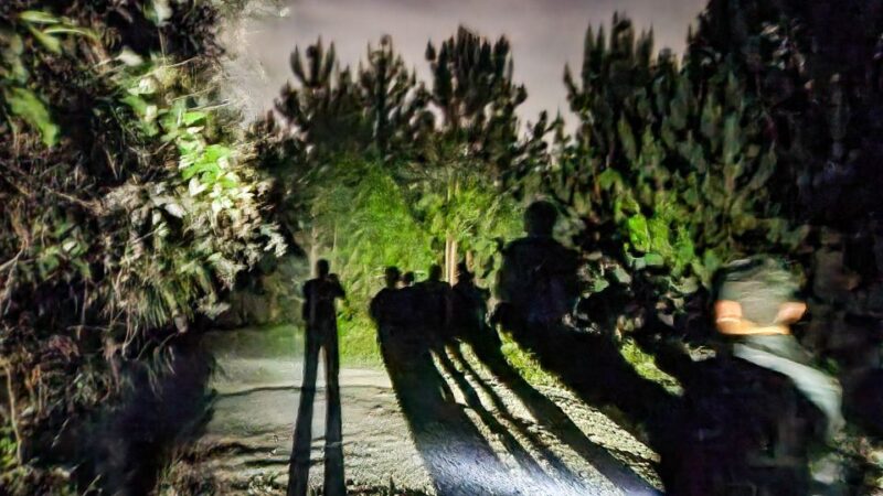 Calarca: Night Walk in the Mountains From Salento - Guided Activities