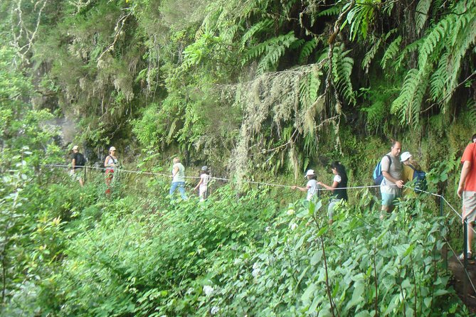 Caldeirão Verde - Worth The Stay