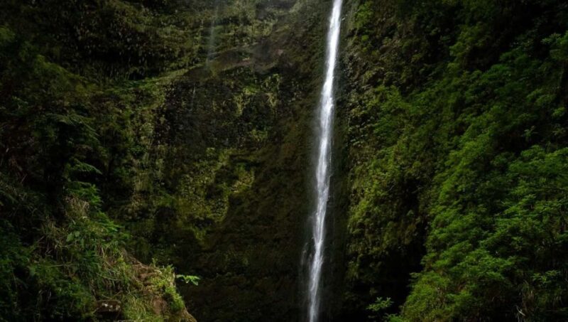 Caldeirão Verde Full Day Hike - Humidity and Footwear