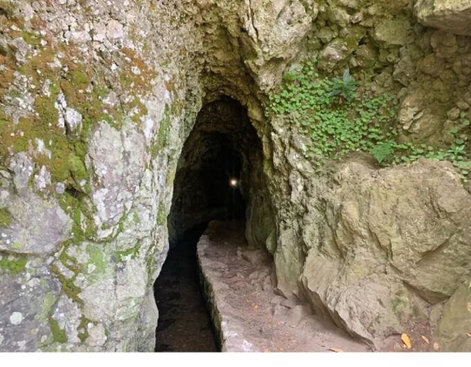Caldeirão Verde Levada: Roundtrip Transfer & Hike - Frequently Asked Questions