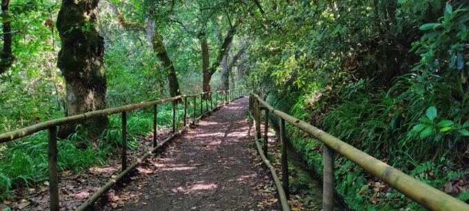 Caldeirão Verde Levada: Roundtrip Transfer & Hike - Scenic Levada Trail