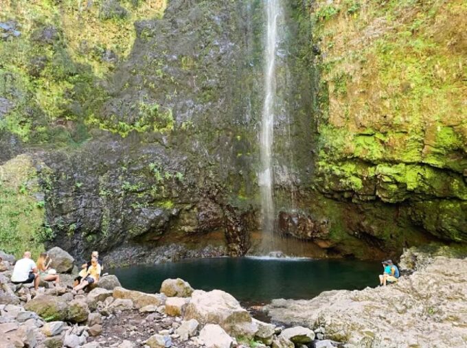 Caldeirão Verde Levada: Roundtrip Transfer & Hike - Customer Reviews