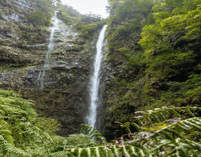 Caldeirão Verde Levada: Roundtrip Transfer & Hike - Frequently Asked Questions