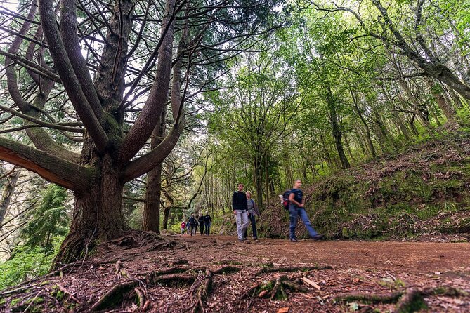 Caldeirão Verde Levadas Walk in Madeira - Traveler Feedback