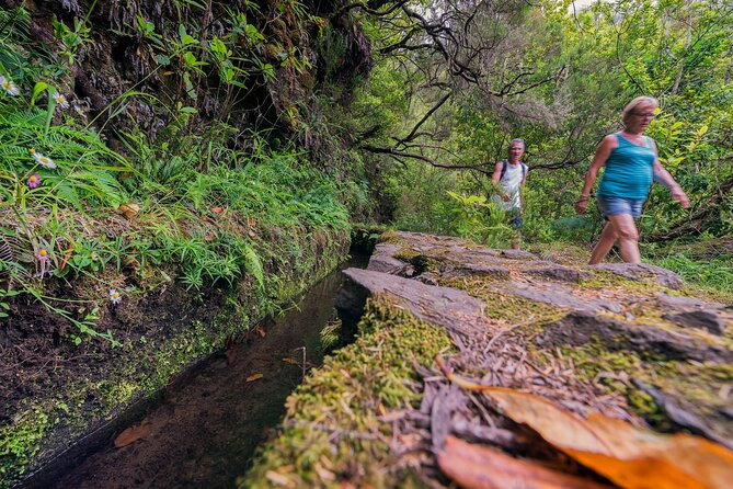 Caldeirão Verde Levadas Walk in Madeira - Cancellation and Booking
