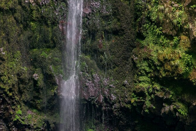 Caldeirão Verde Levadas Walk in Madeira - Pickup and Accessibility